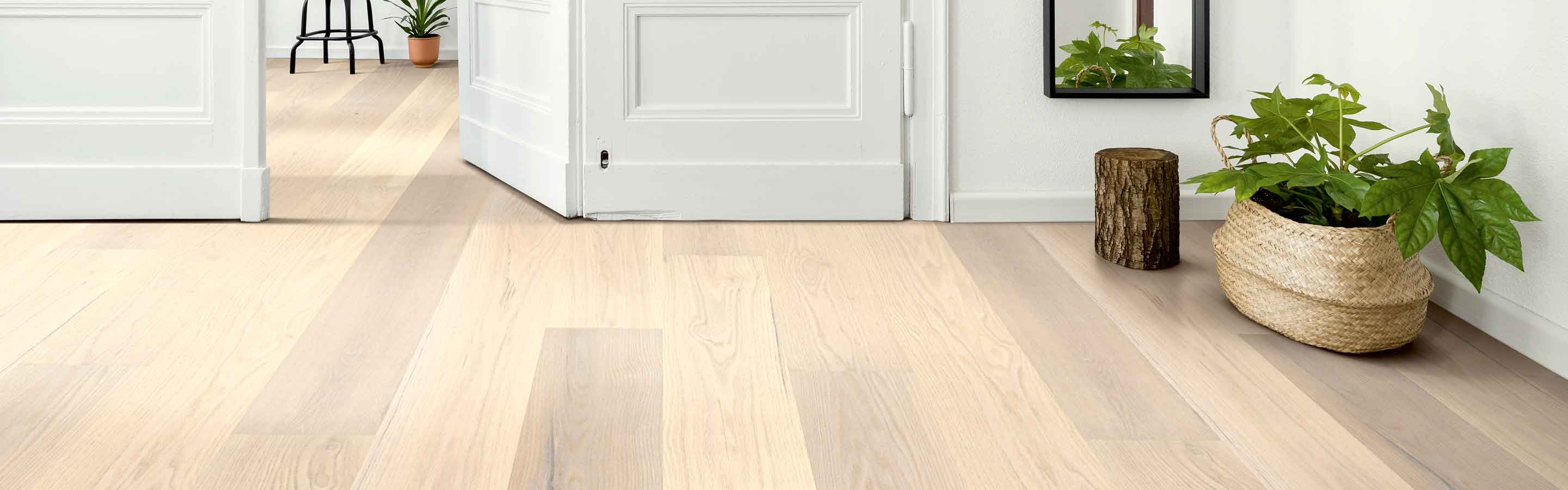 Wide plank hardwood entryway with potted plant 